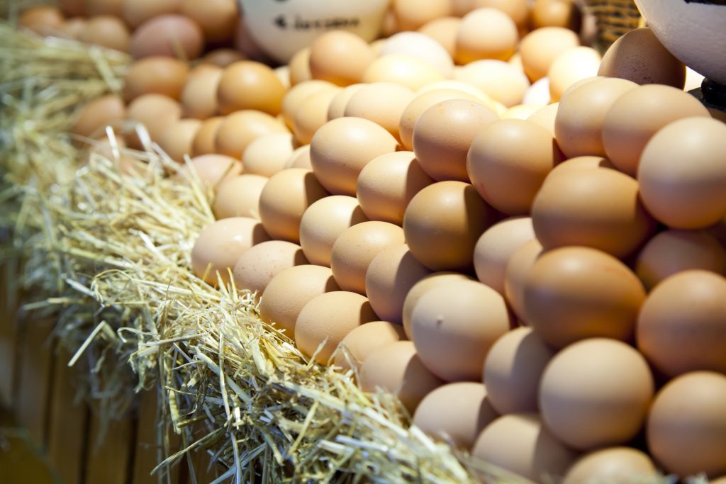 How to Start an Egg Trading Business in Dubai